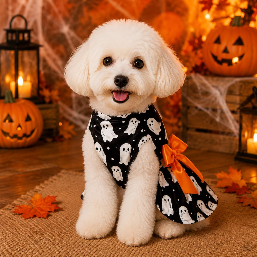 Miiemiu robe Halloween comparaison taille, choix facile selon mesures