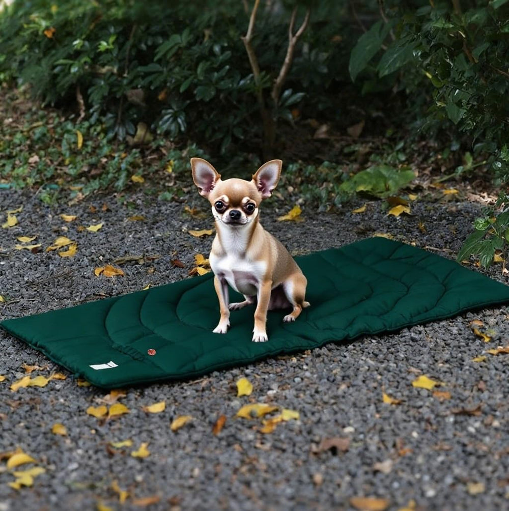 MikooMikoo tapis installé en camping offrant un coin repos propre