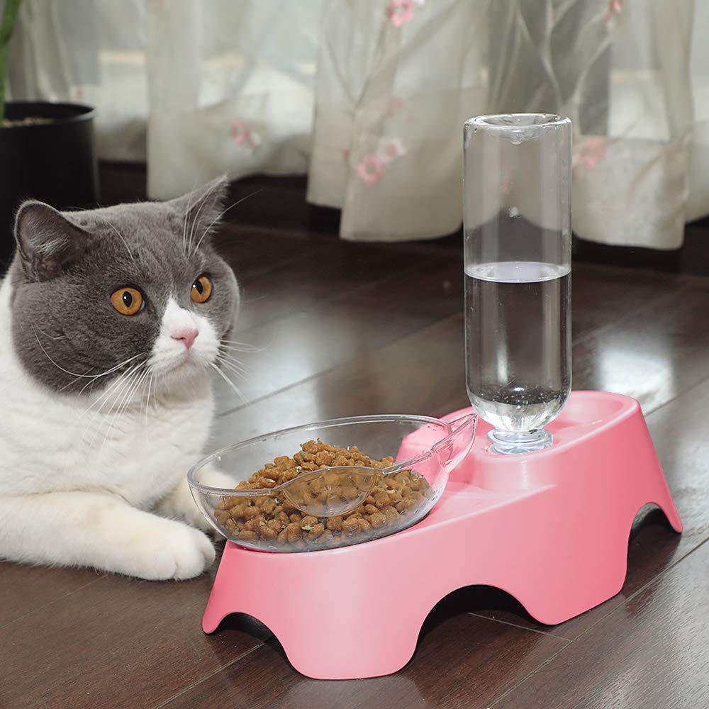 MILIFUN comparaison échelle taille, montre dimensions adaptées petits animaux