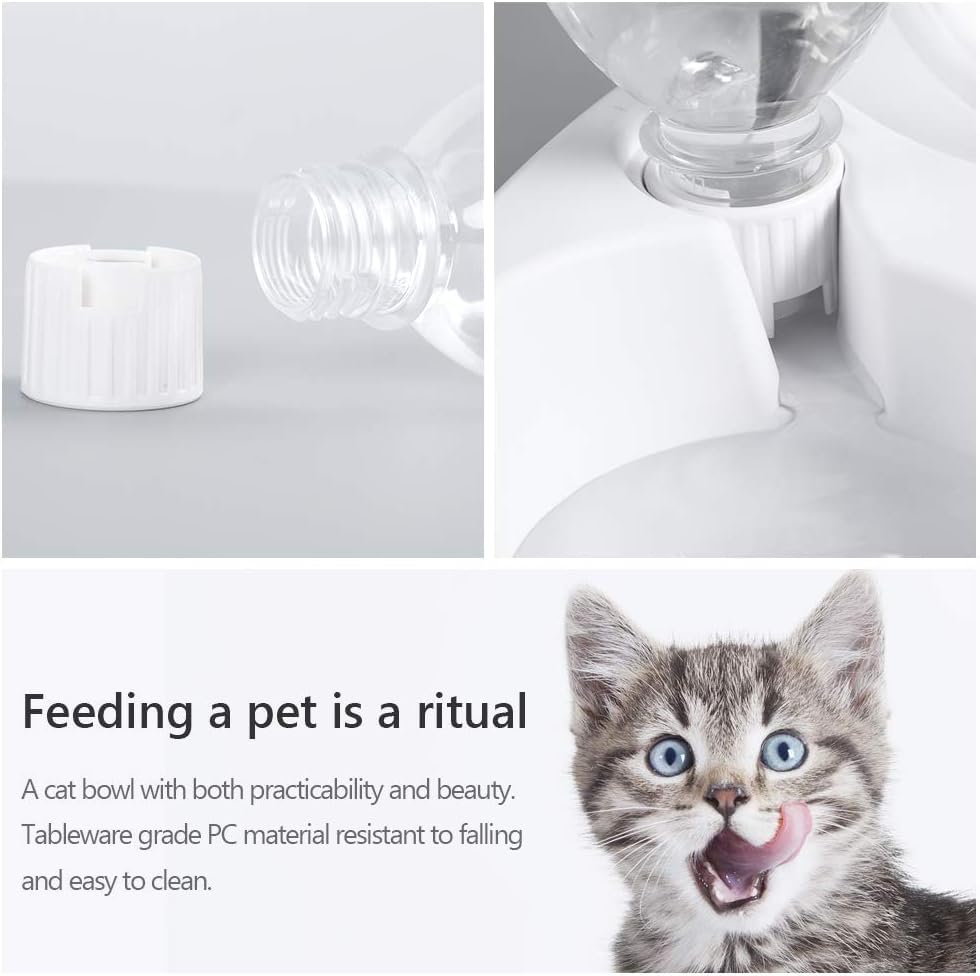 MILIFUN gamelle utilisée par un chat illustrant accès facilité à la nourriture