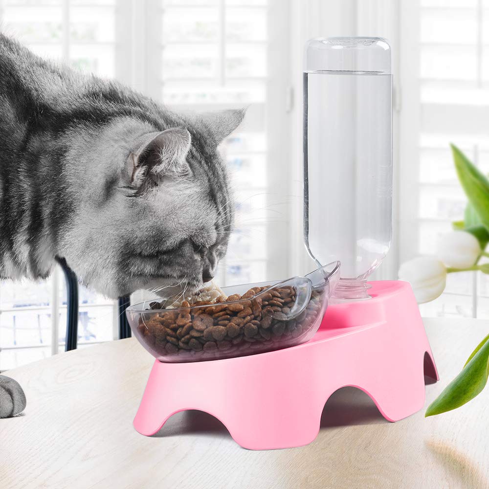 MILIFUN gamelle utilisée par un petit chien, accessibilité et stabilité
