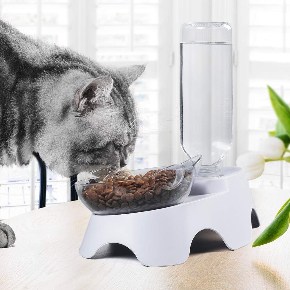 MILIFUN gamelle utilisée par un petit chien montrant confort pendant le repas