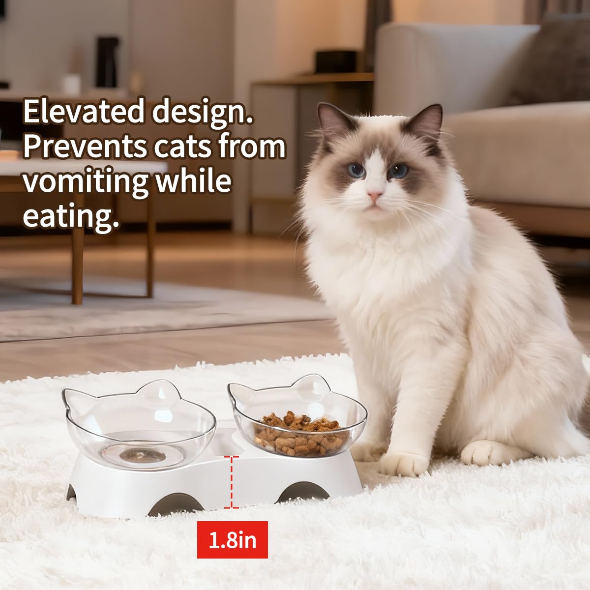 MILIFUN gamelle en usage par un chaton illustrant confort d'alimentation