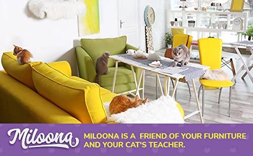 Miloona en salon avec chat préservant meubles et confort de l’animal