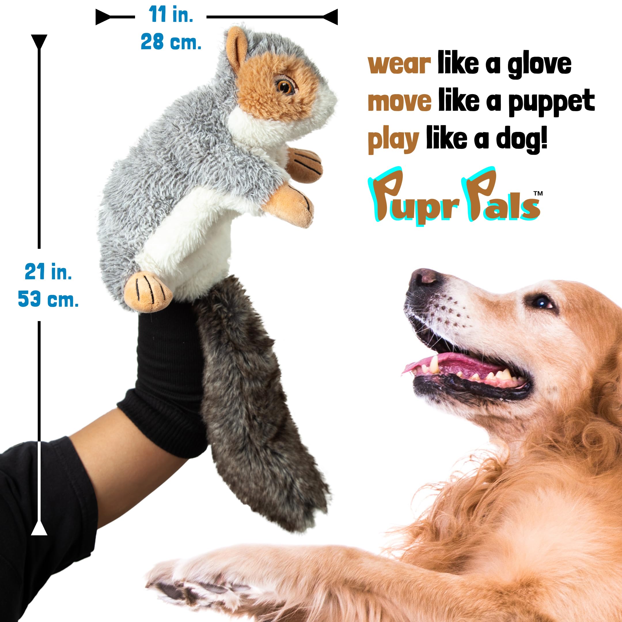 Milunova Pupr Pals en jeu avec chiot illustrant interaction sûre