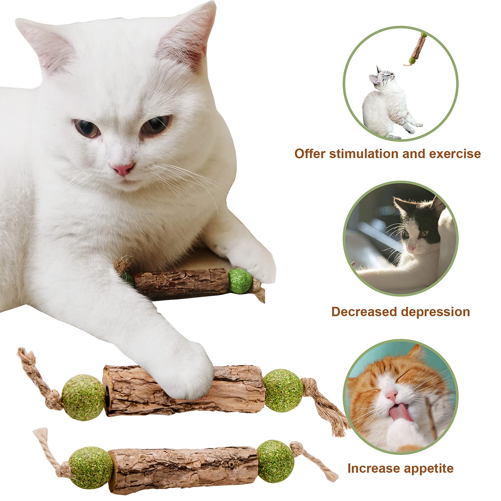 Gros plan MIMIMOMO sur texture boisée pour mastication durable