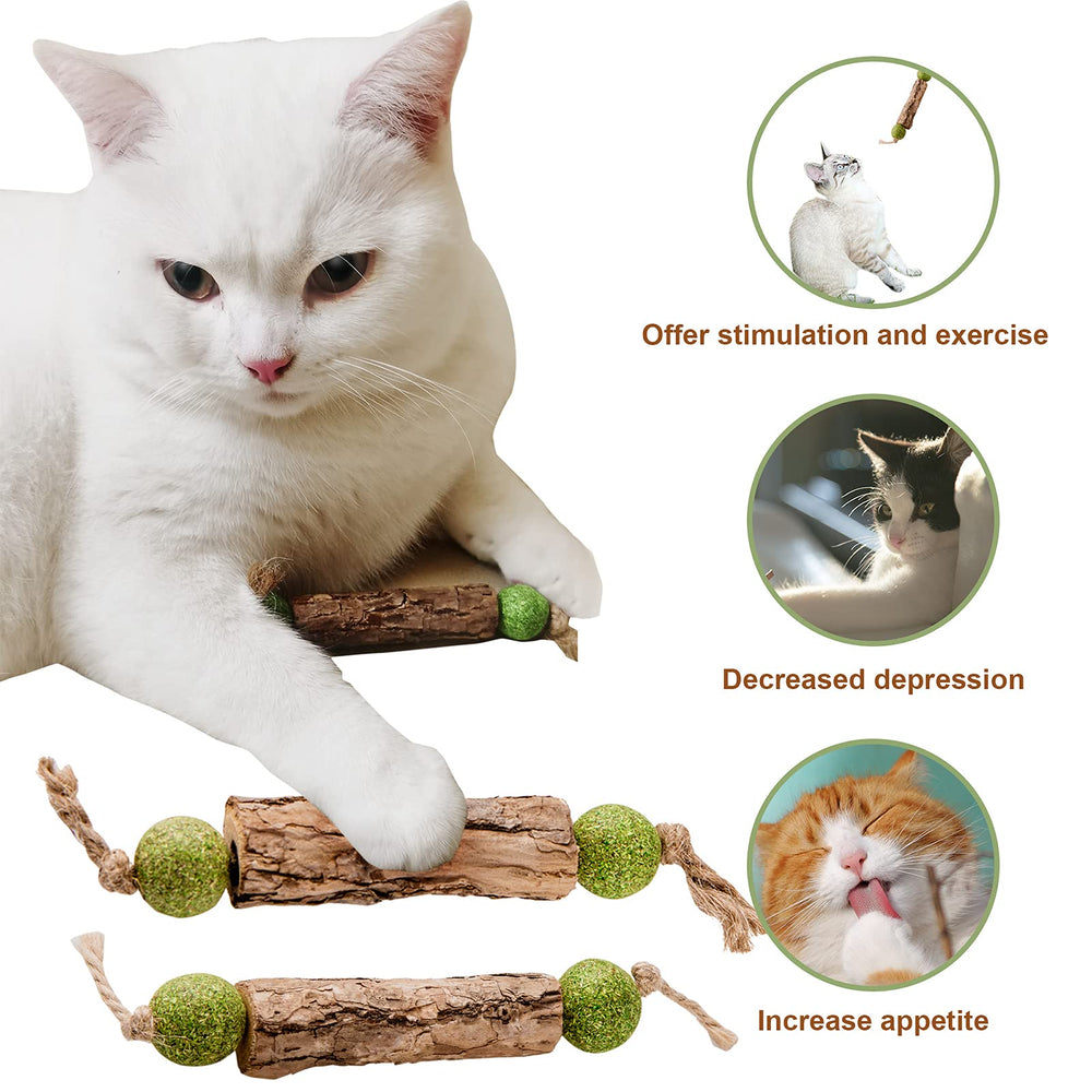 Gros plan MIMIMOMO sur texture boisée pour mastication durable