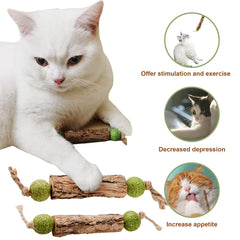 Gros plan MIMIMOMO sur texture boisée pour mastication durable
