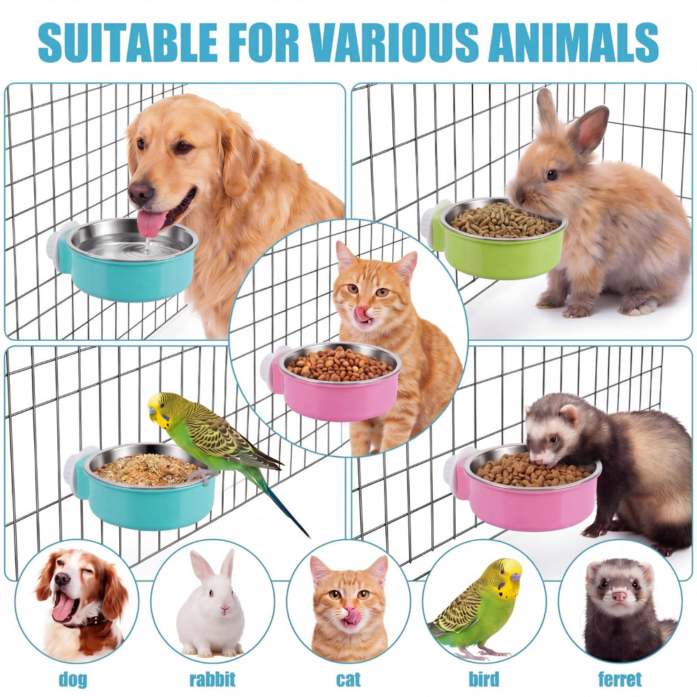 Mimorou ensemble de couleurs disposés, organisation visuelle multi-animaux