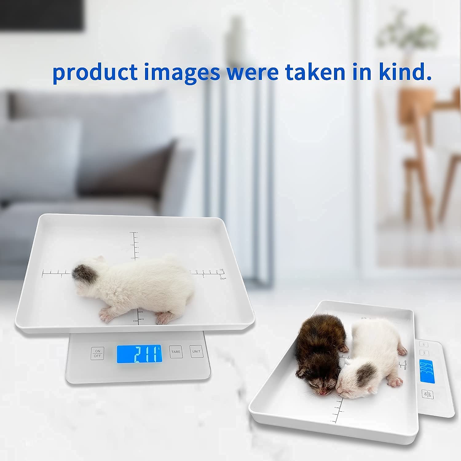 MINDPET-MED utilisation en clinique vétérinaire démontrant usage professionnel fiable