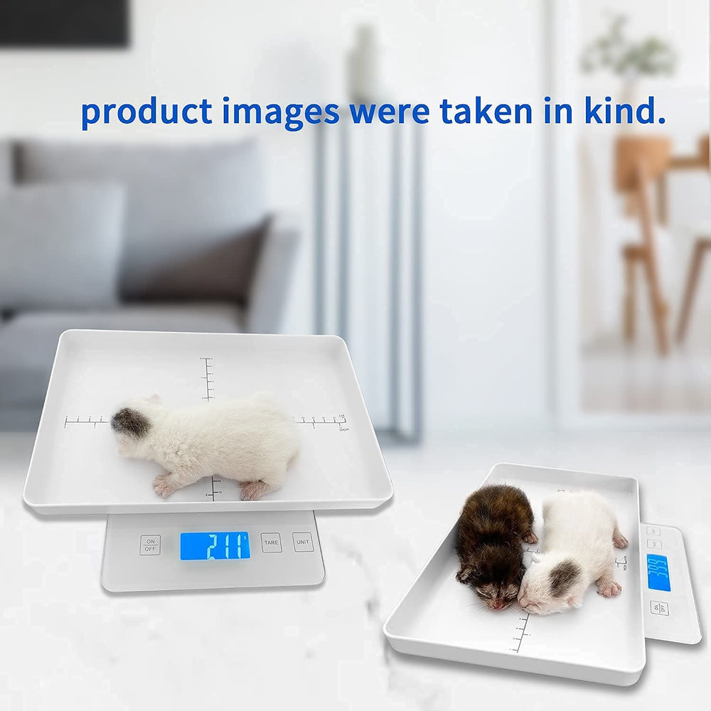 MINDPET-MED utilisation en clinique vétérinaire démontrant usage professionnel fiable