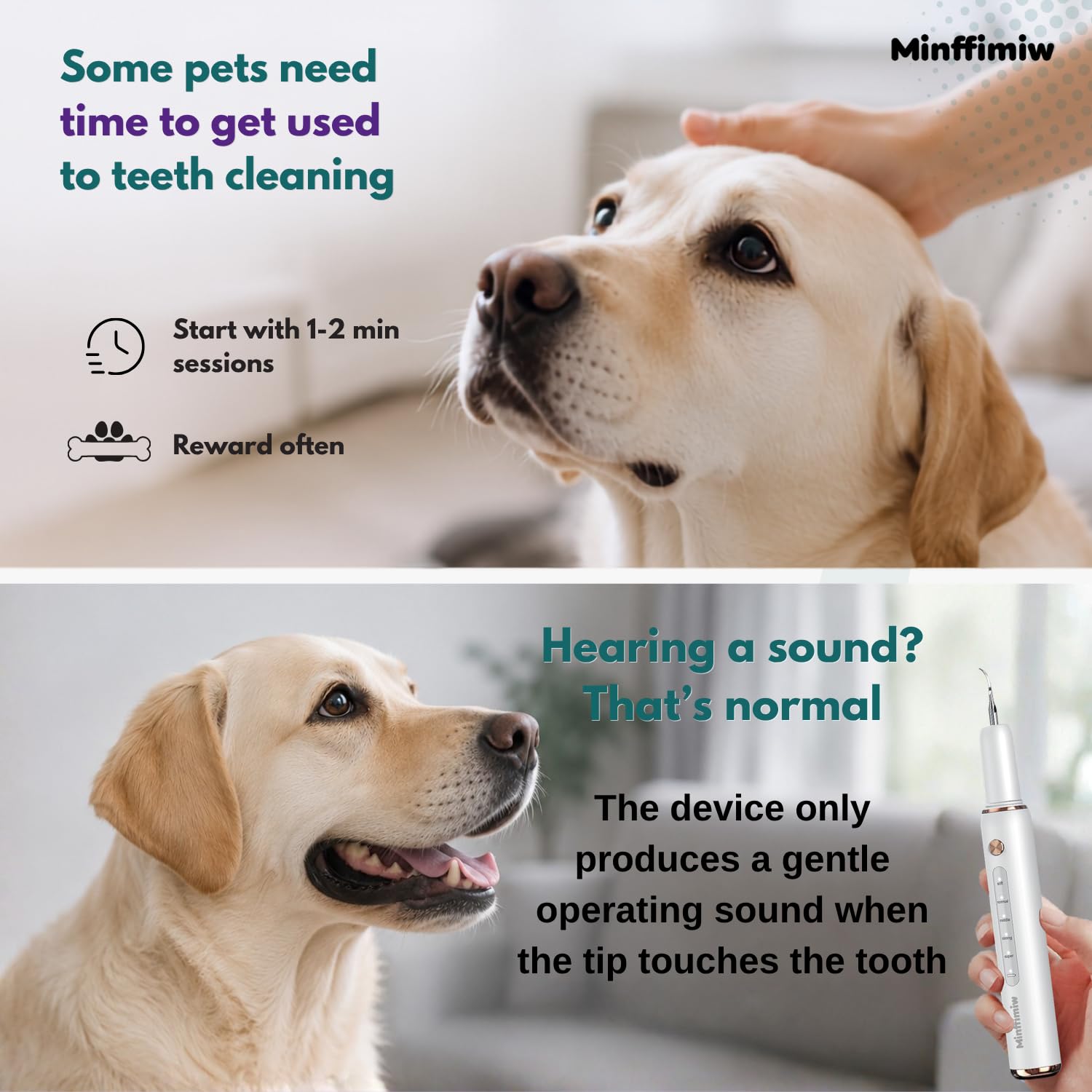 Minffimiw utilisation sur chien illustrant confort et précision