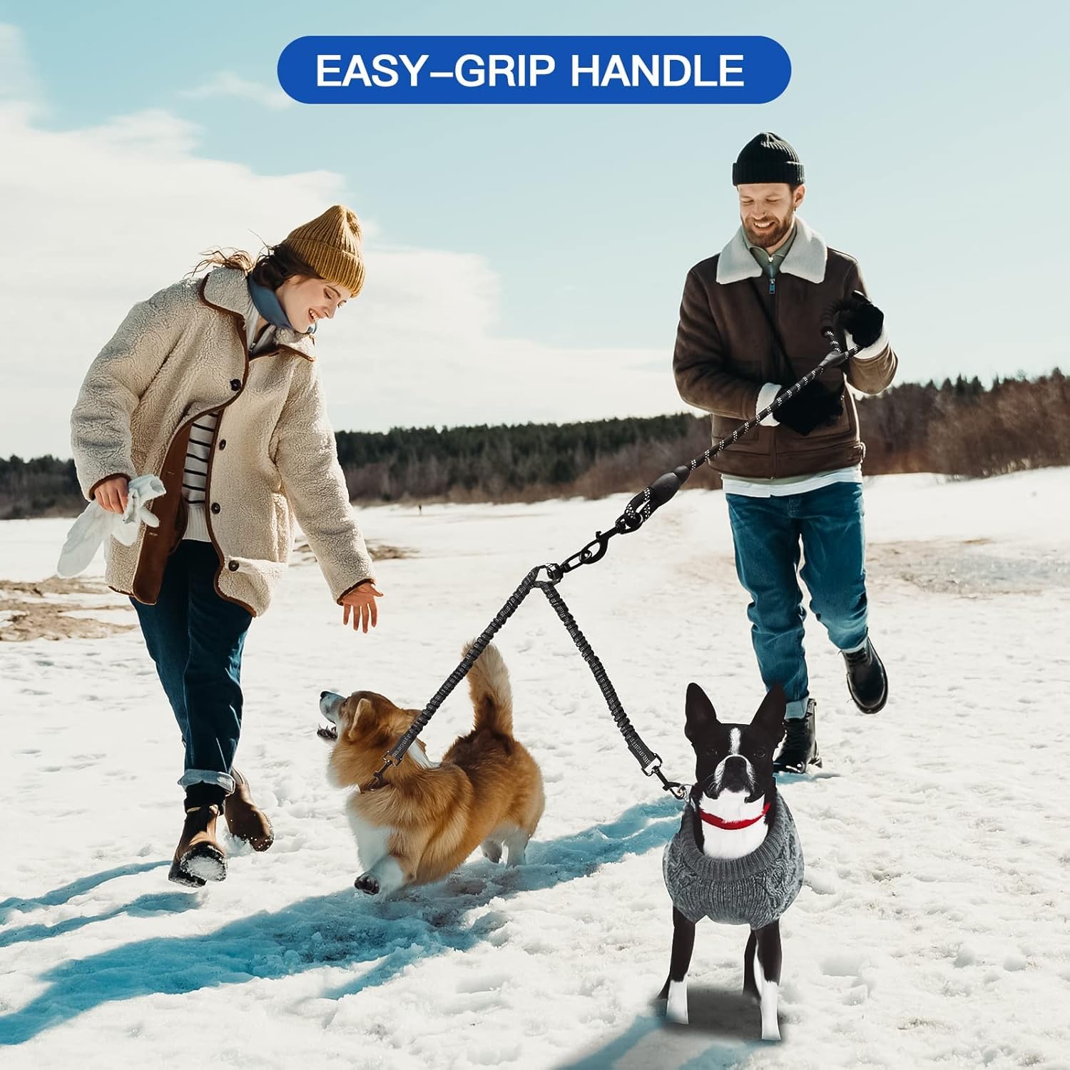 MingXpets laisse utilisée par deux chiens au parc pour contrôle facile