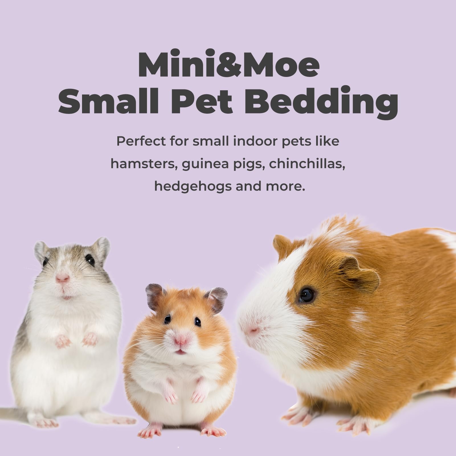 mini&moe mise en scène habitat cosy, favorise fouissage naturel