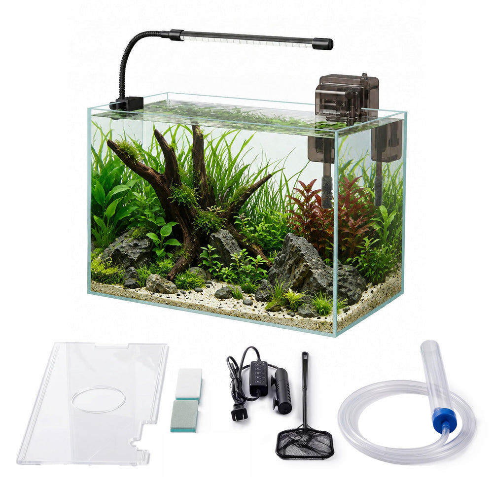 minilake aquarium face avant en verre clair montrant visibilité maximale