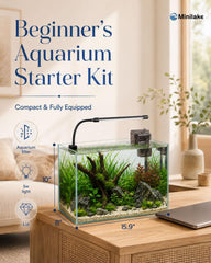 minilake filtre à faible débit protégeant poissons sensibles et eau claire