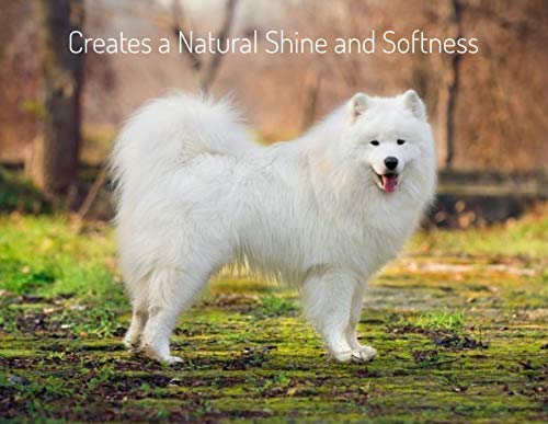 Minksheen Dog Shampoo utilisé lors d'un bain de chien pour un nettoyage doux et efficace