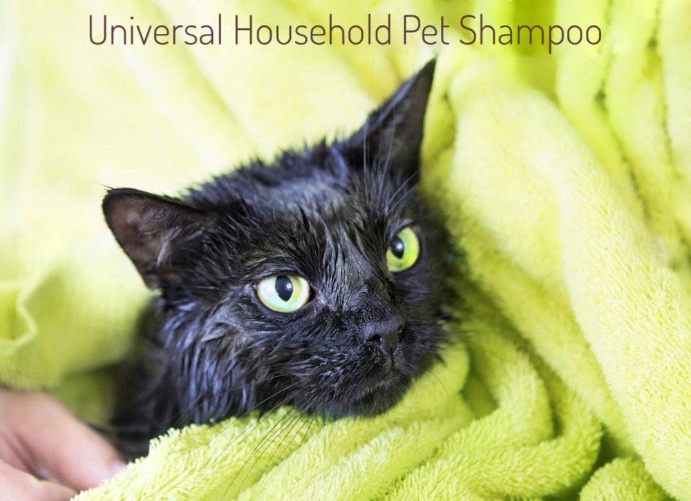 Minksheen Dog Shampoo étiquette lisible avec ingrédients principaux et bénéfices naturels