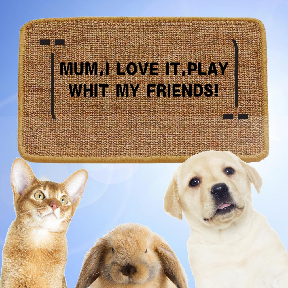 minni-goods chat utilisant le tapis satisfaite ses instincts naturellement