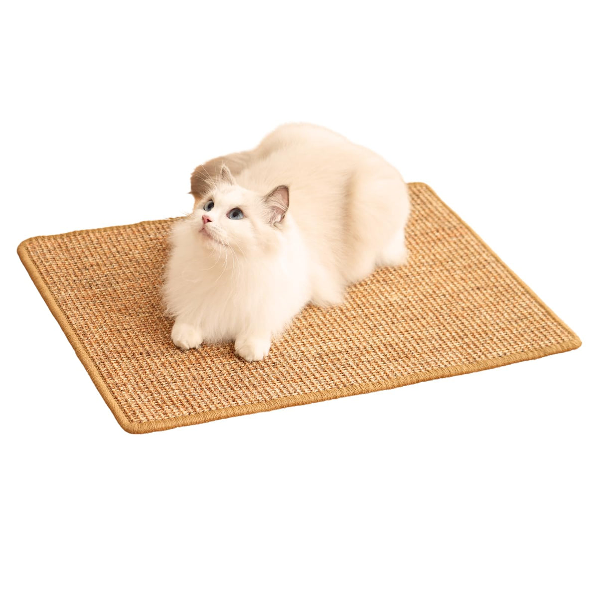 minni-goods tapis griffoir face avant montrant design et protection