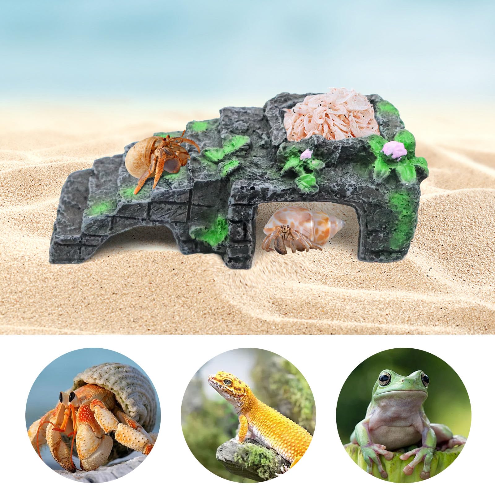 MinrzPet accessoire installé dans terrarium stimulant activité des animaux