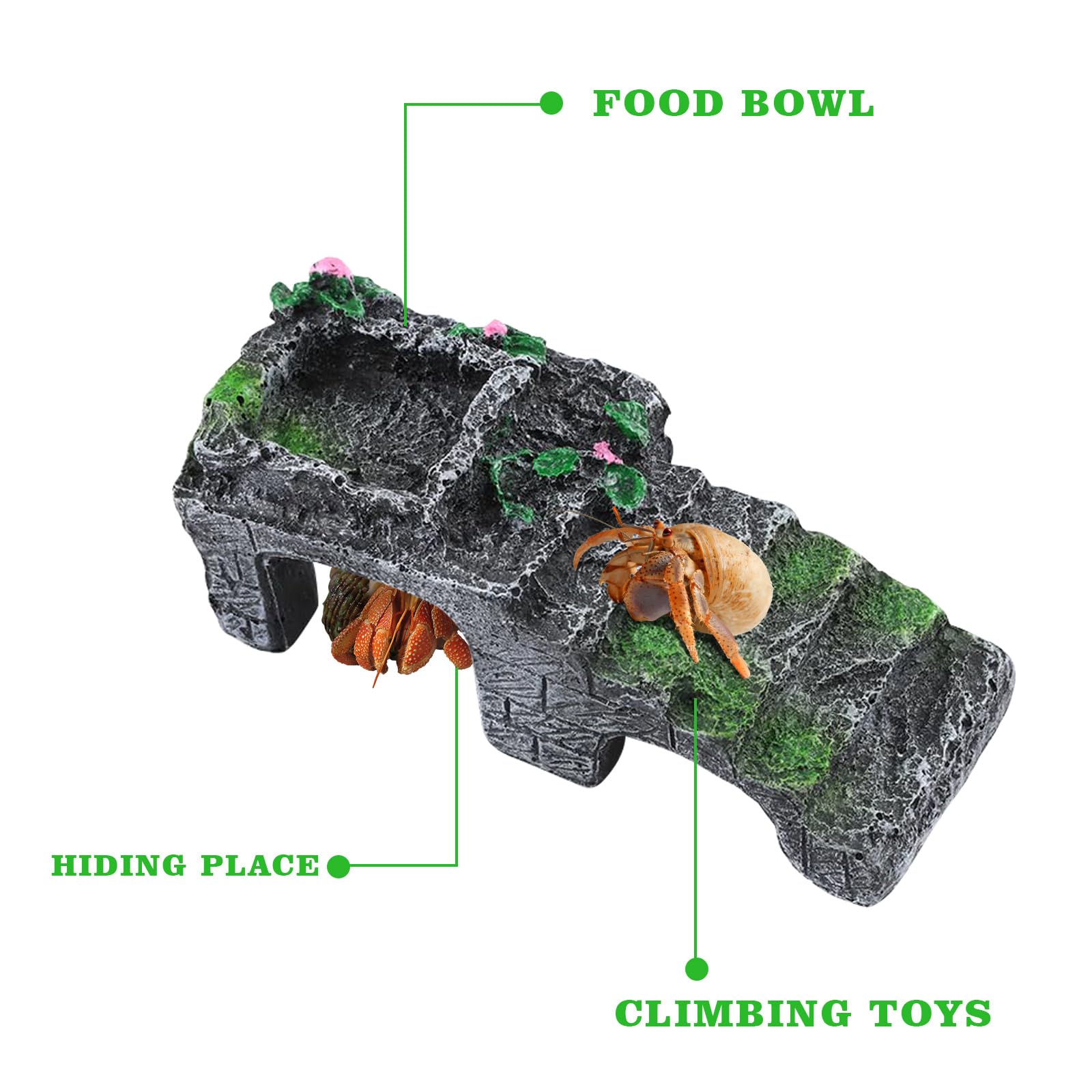 MinrzPet coupelle intégrée visible de dessus pour alimentation pratique