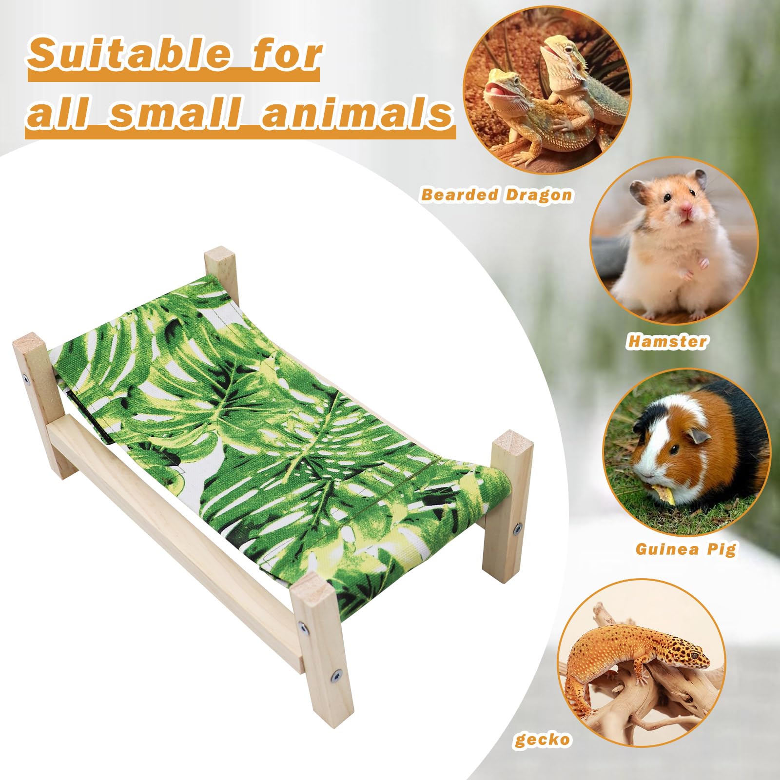 MinrzPet comparaison de taille illustrant ajustement dans terrarium