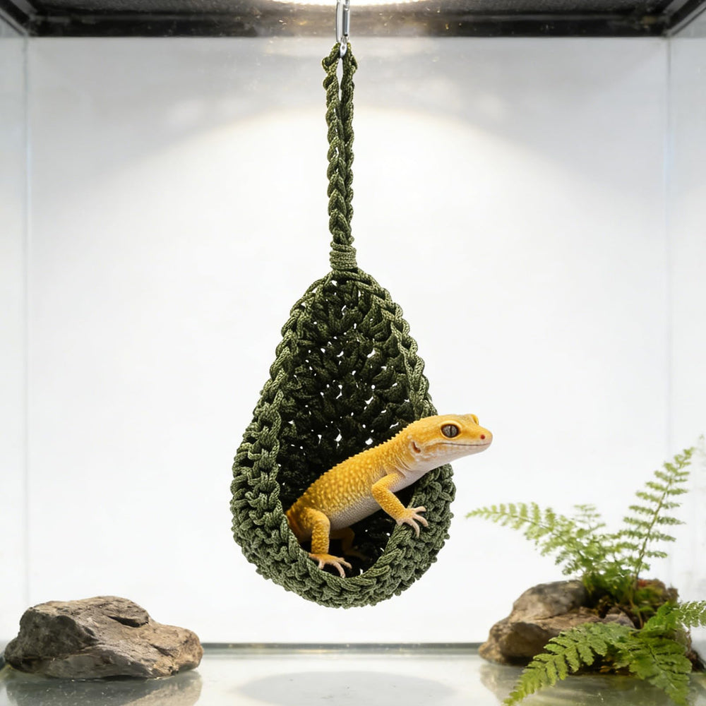 MinrzPet mise en scène dans terrarium illustrant enrichissement habitat