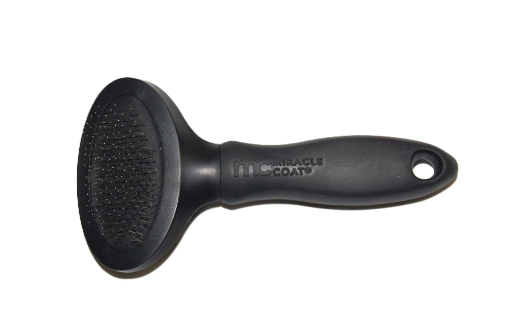 Miracle Care vue avant de la brosse slicker présentant la tête compacte et finition professionnelle