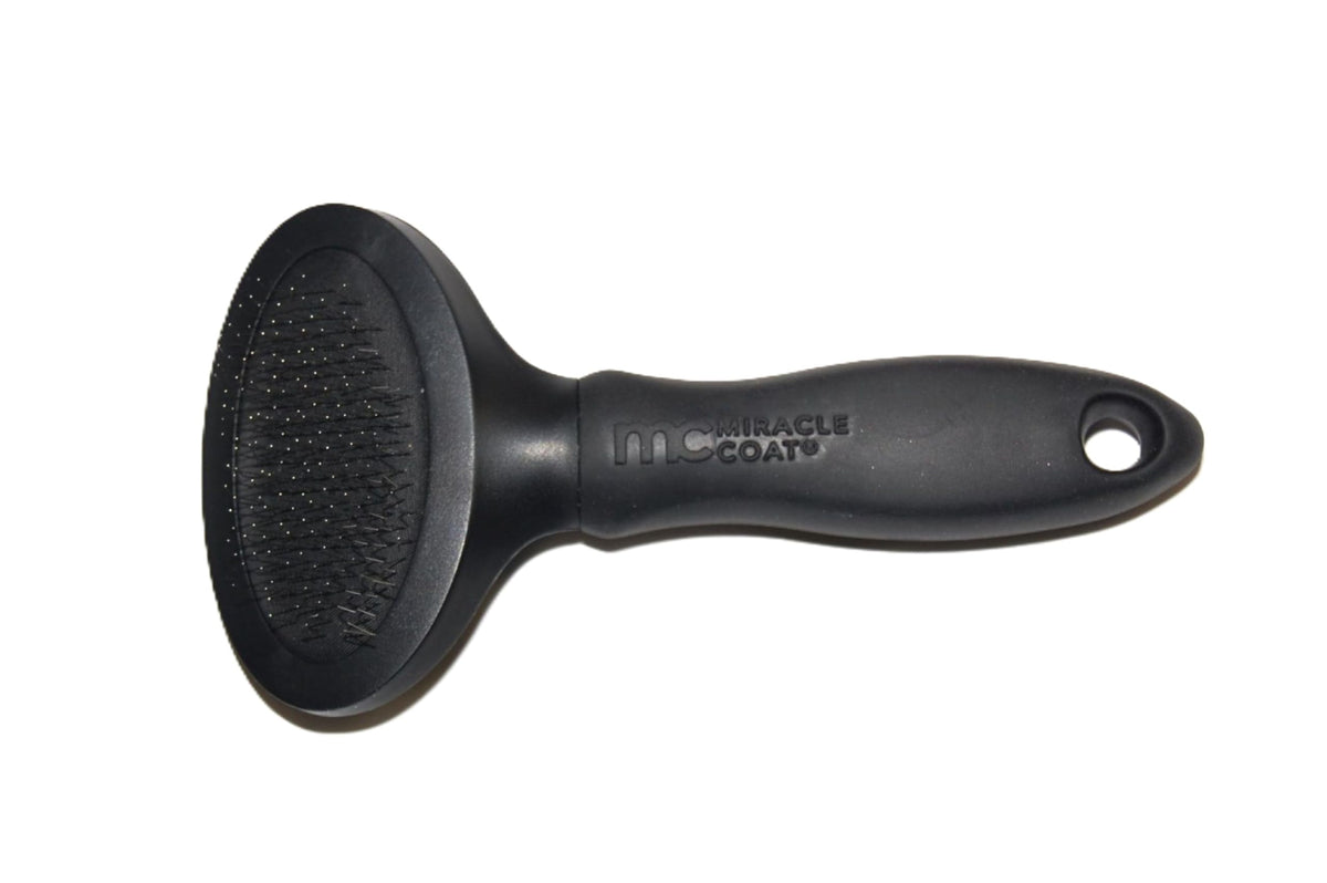 Miracle Care vue avant de la brosse slicker présentant la tête compacte et finition professionnelle