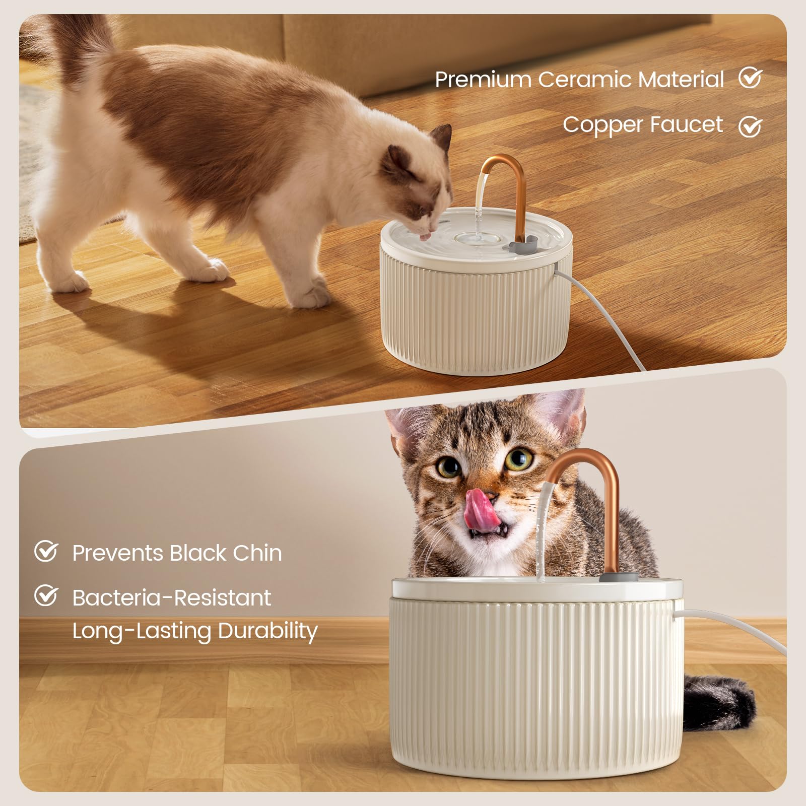 MISFANS fontaine en usage avec chat buvant, encourage hydratation saine