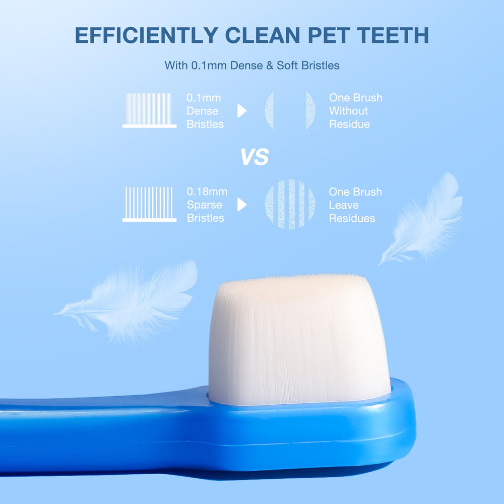 MISSELF kit en main échelle démontrant la petite taille adaptée aux petits chiens et chats
