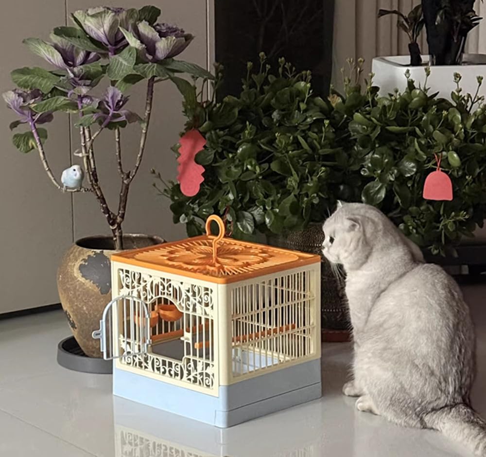 Misyue oiseau à l'intérieur illustrant vue 360° pour observation