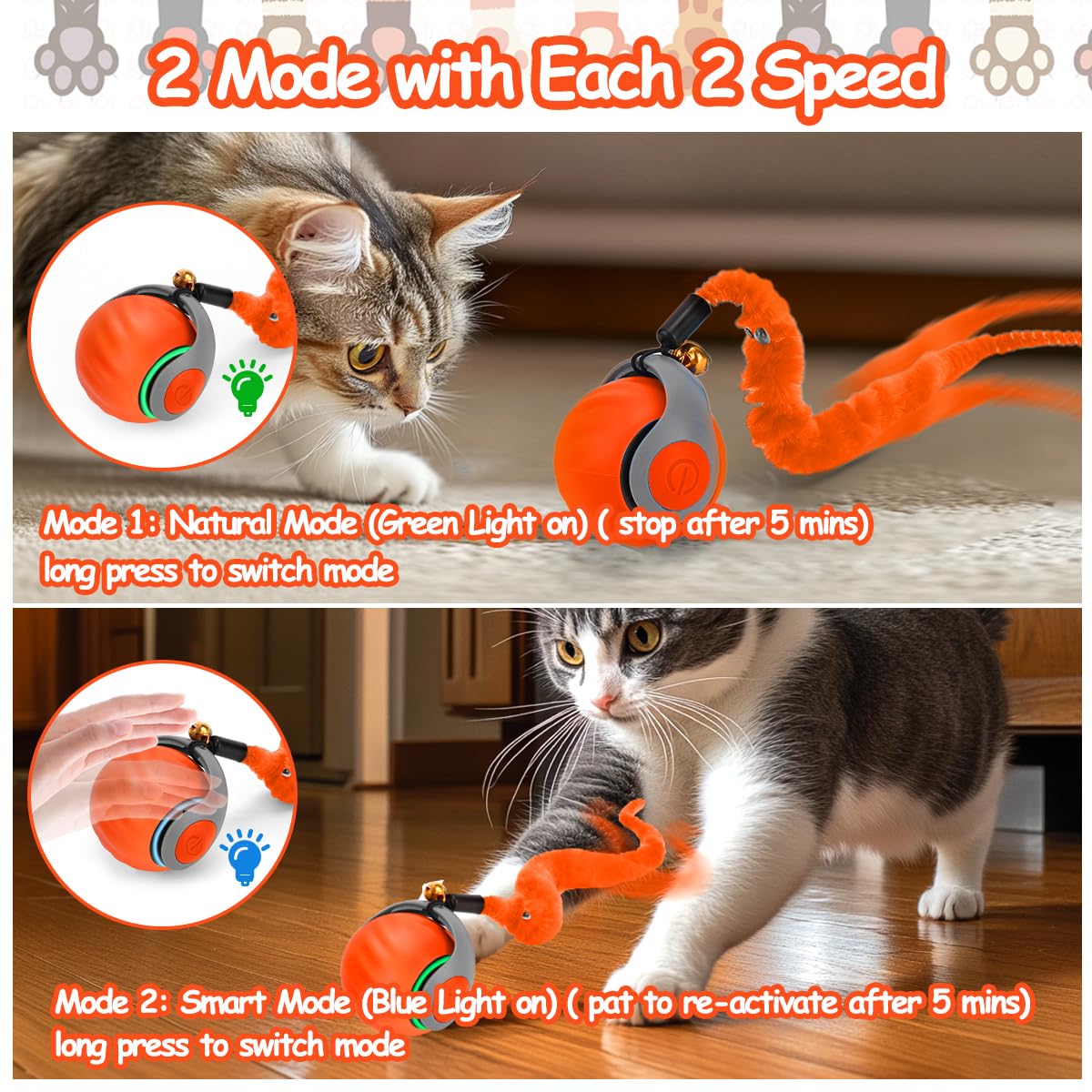 Mity rain gros plan des plumes attractives stimulant la chasse du chat