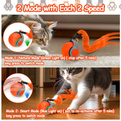 Mity rain gros plan des plumes attractives stimulant la chasse du chat