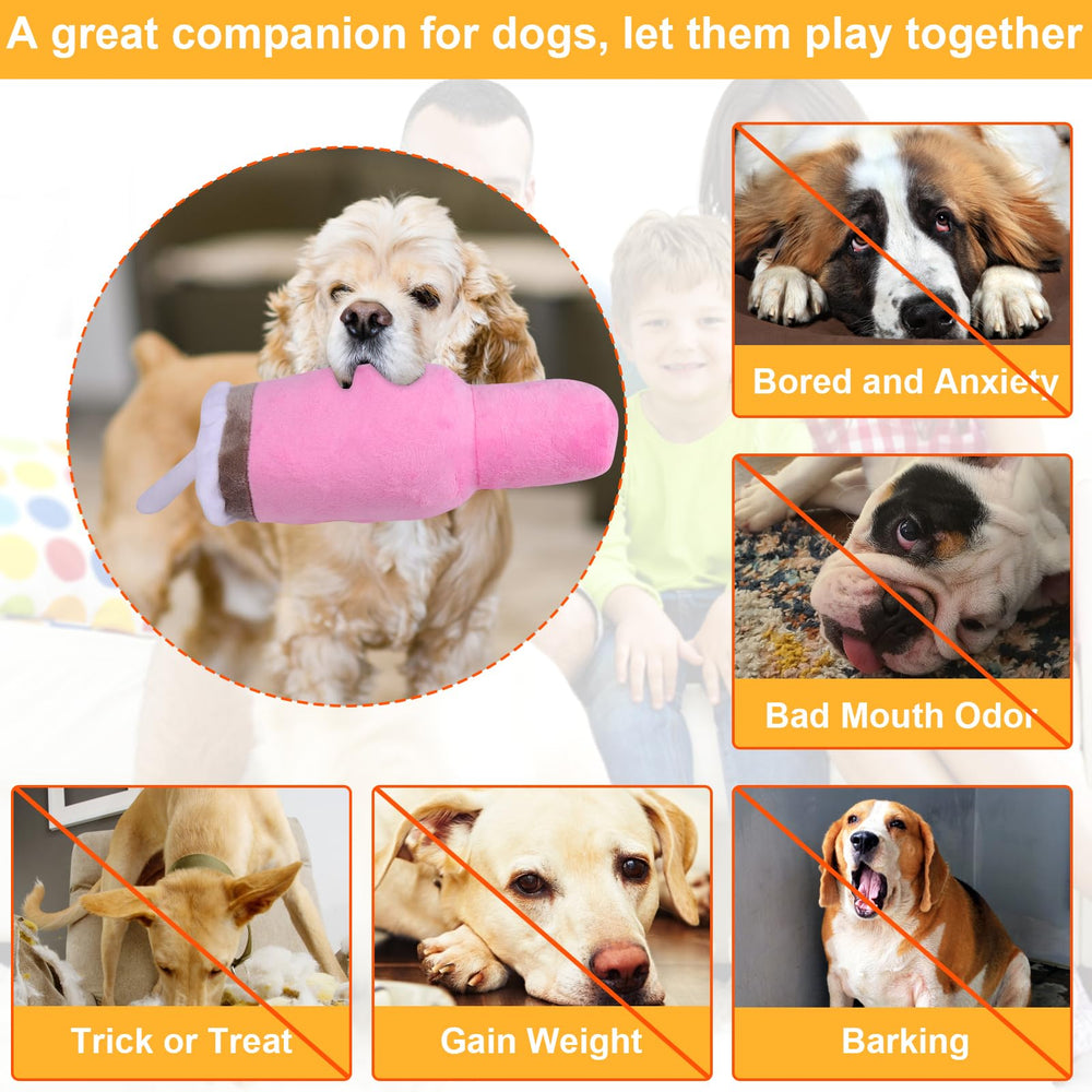 Mity rain chien jouant avec le jouet favorisant activité et interaction