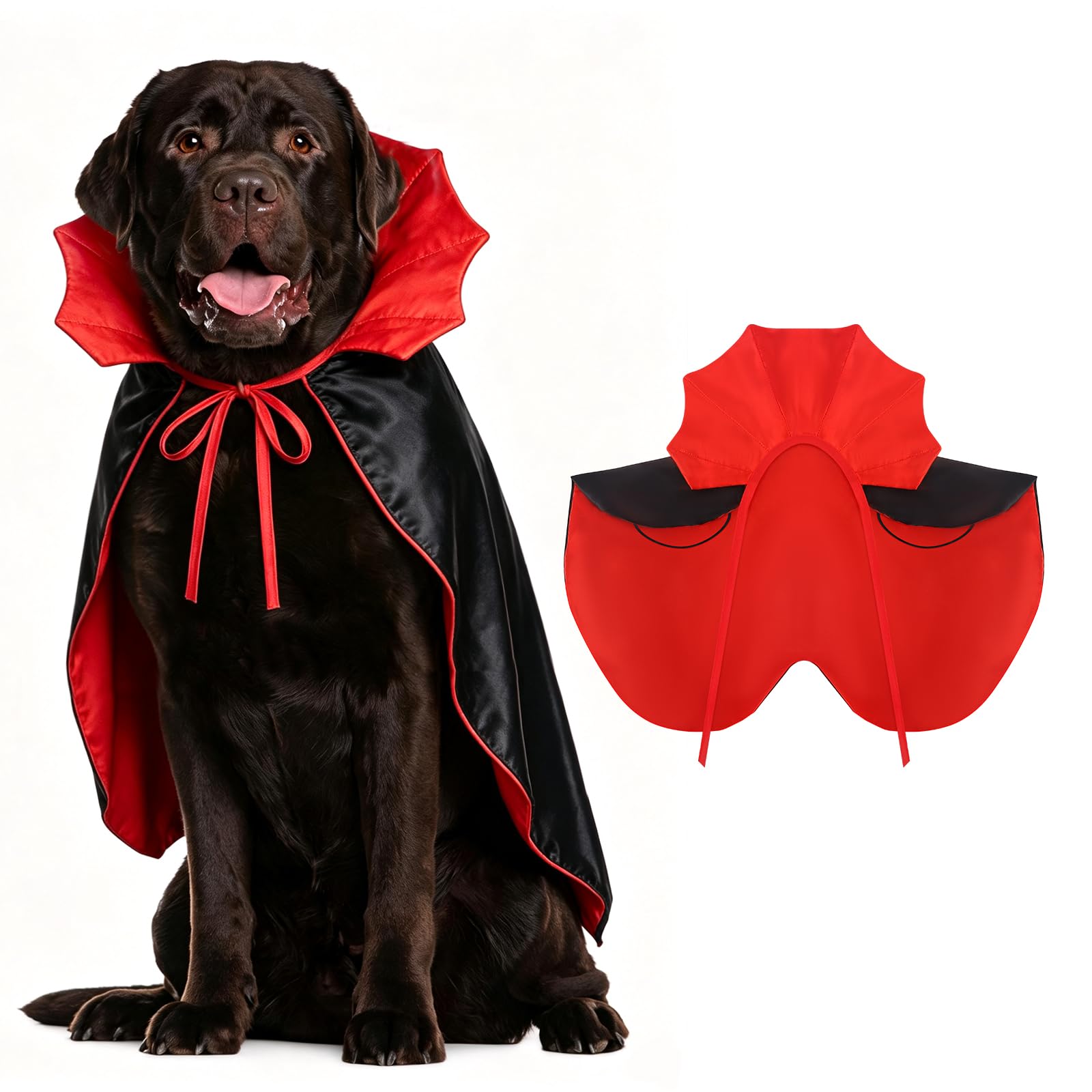 Miucat cape vampire face avant montrant l'allure dramatique