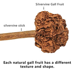 miwoowim gros plan sur la texture en silvervine, stimule mastication