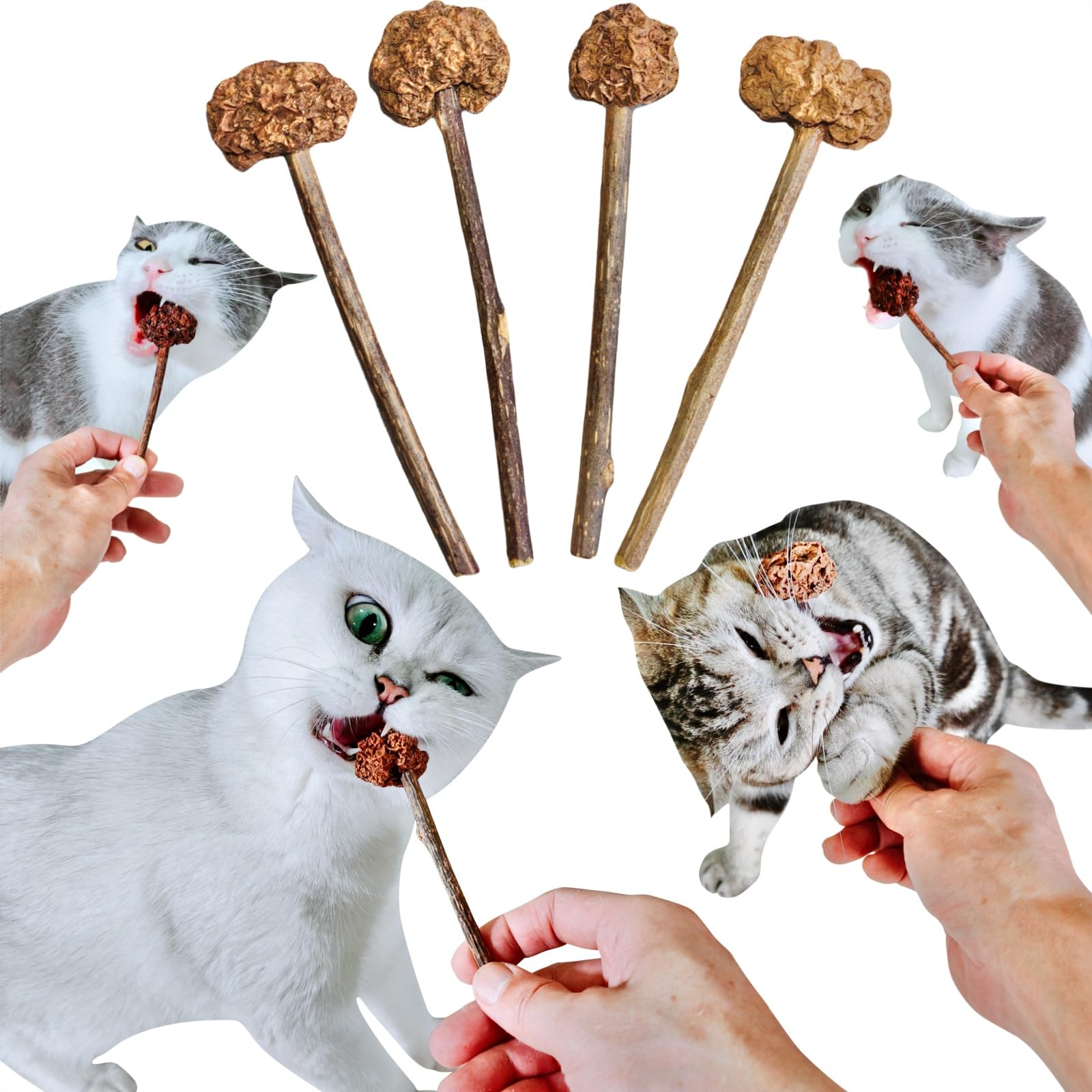 miwoowim emballage avant montrant lot de 4 bâtons, attise curiosité