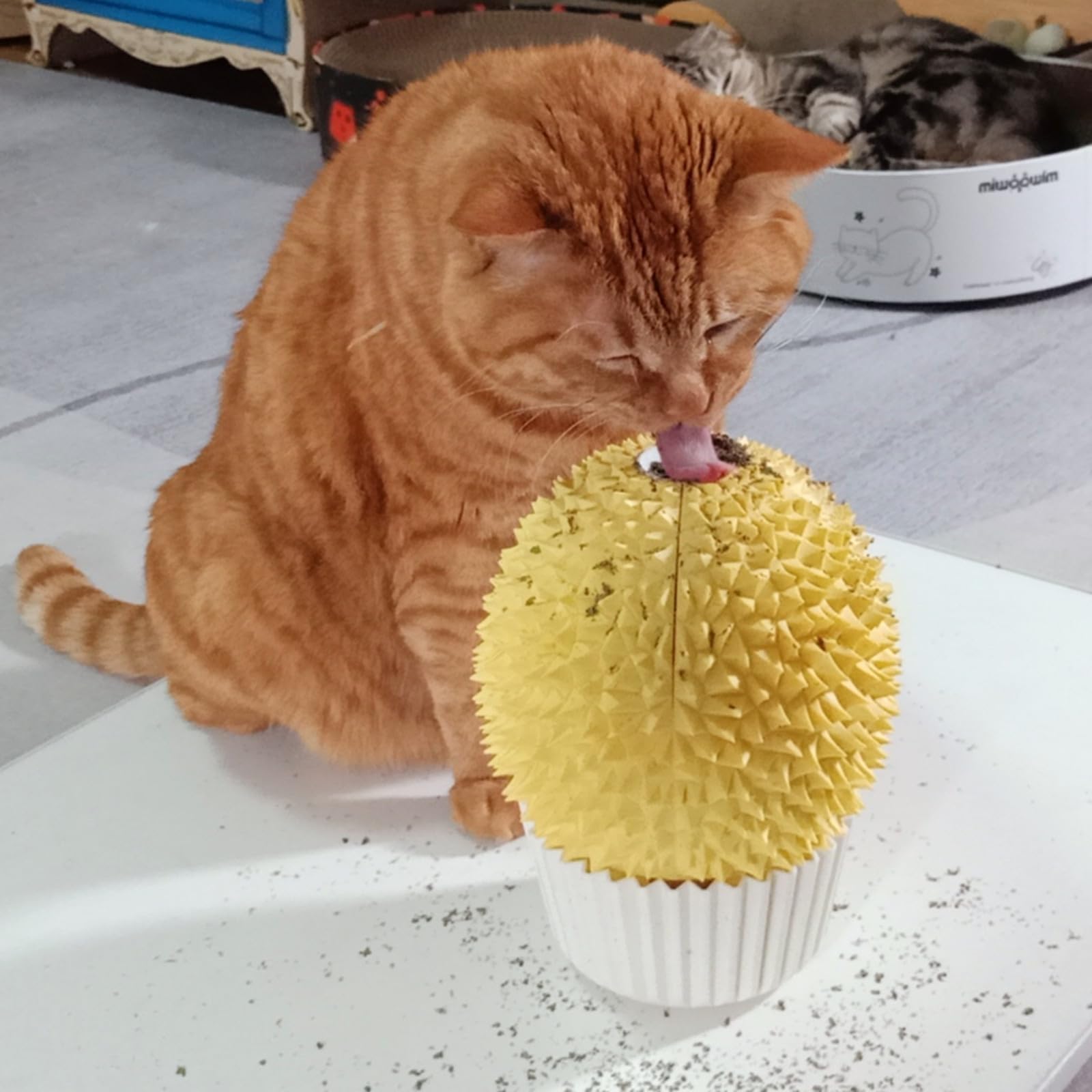 miwoowim vue de face du durian, design attrayant et gain de place