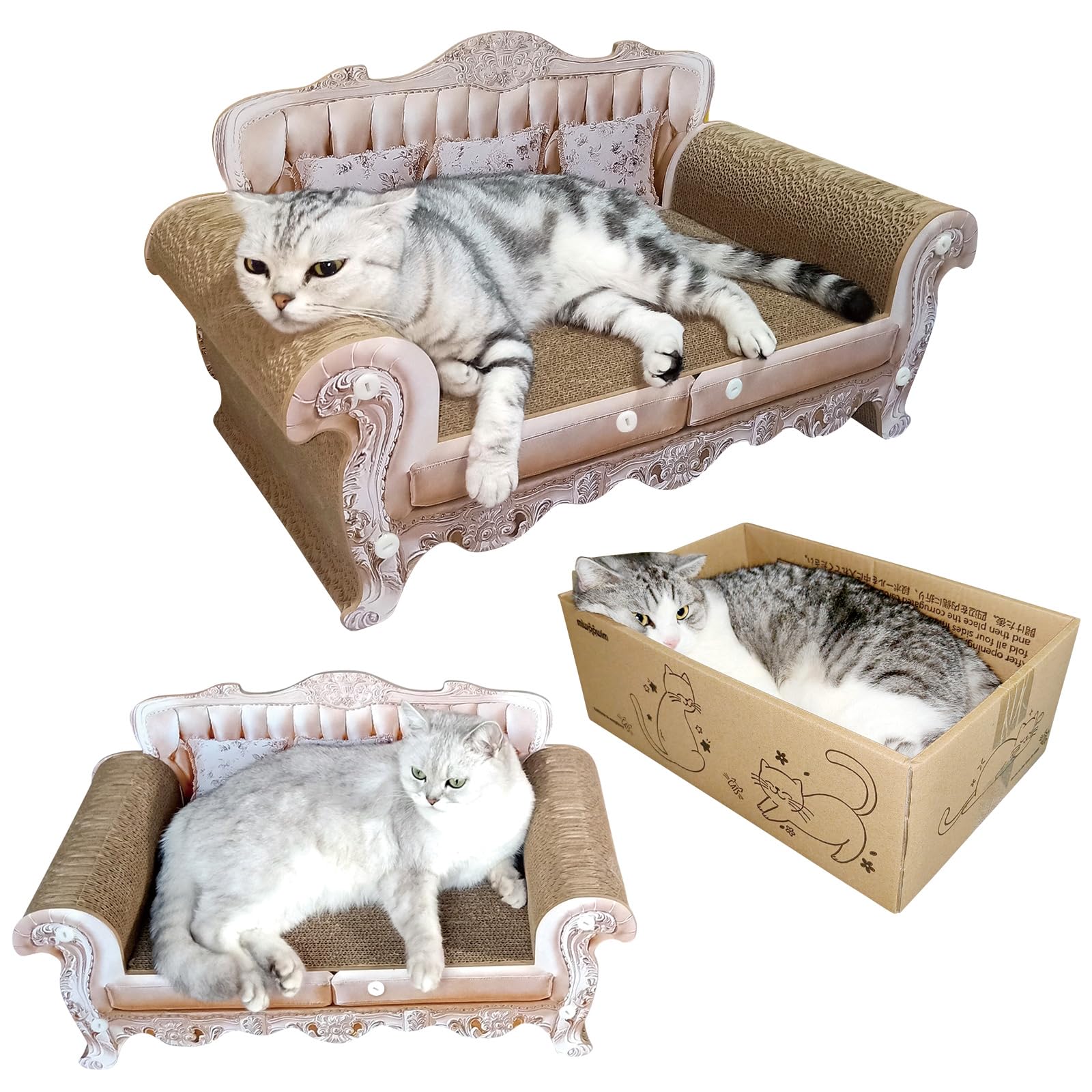miwoowim comparaison d’échelle avec chat montrant dimensions adaptées