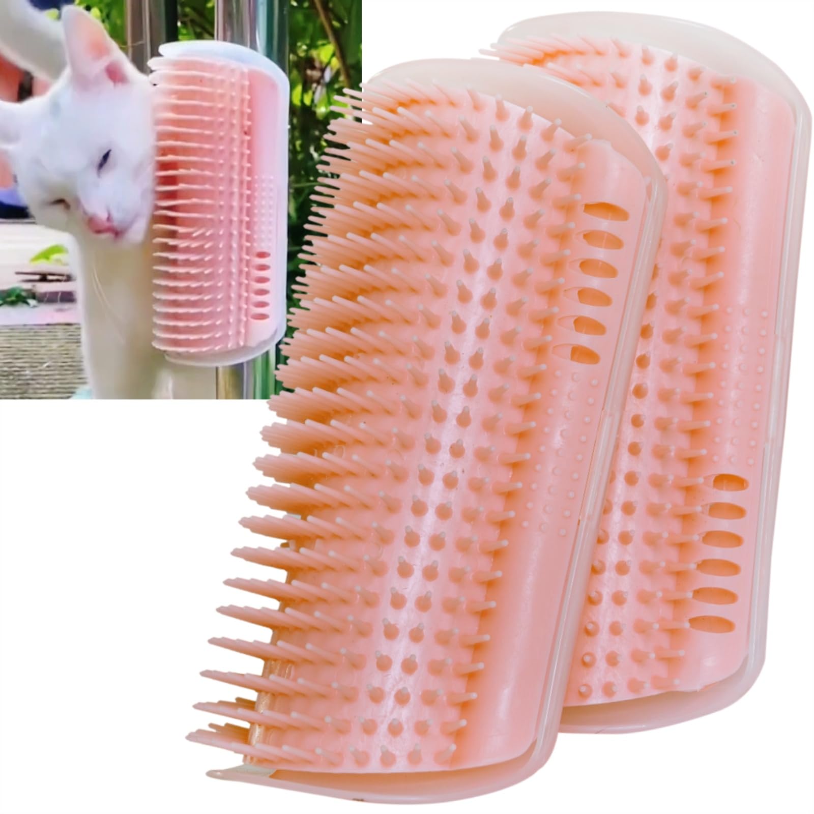 miwoowim vue avant de la brosse et emballage montrant design compact et attrait