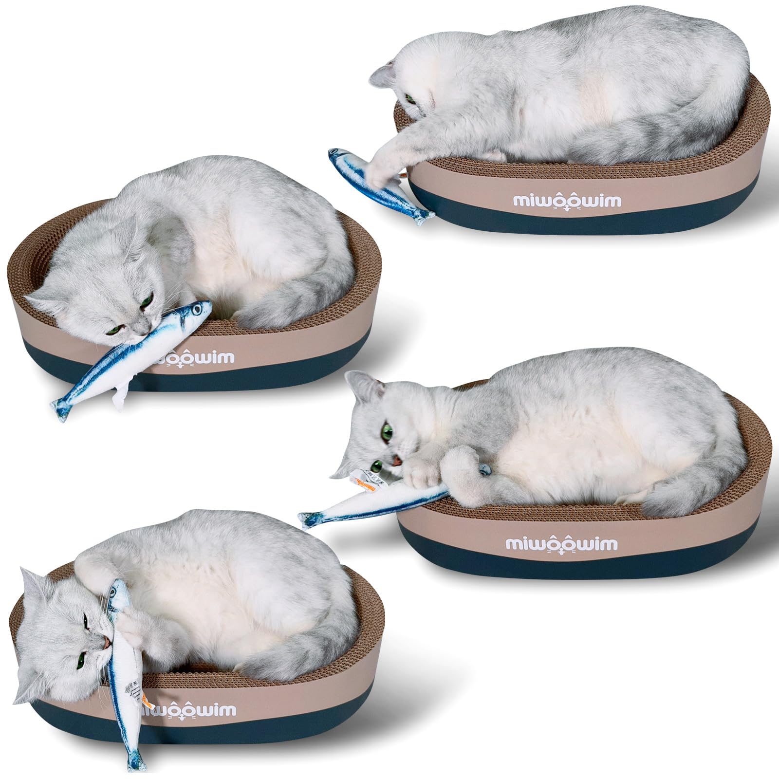 miwoowim comparaison taille montrant échelle pour dimensions pratiques