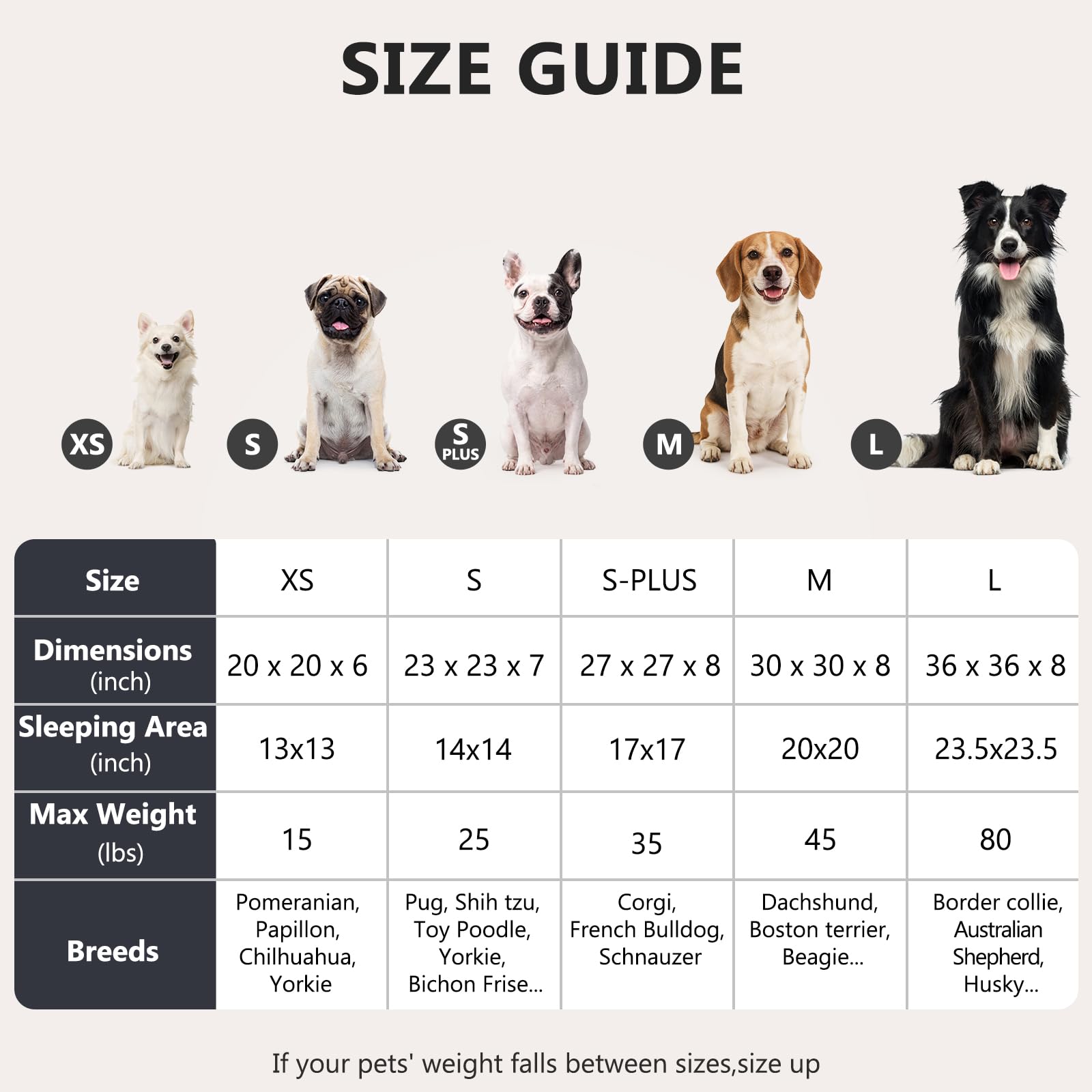 MIXJOY chien blotti dans le lit donut illustrant confort et sécurité