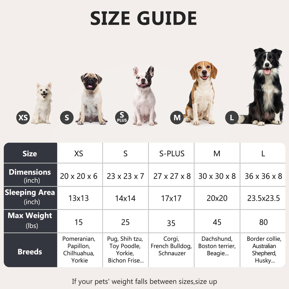 MIXJOY chien blotti dans le lit donut illustrant confort et sécurité
