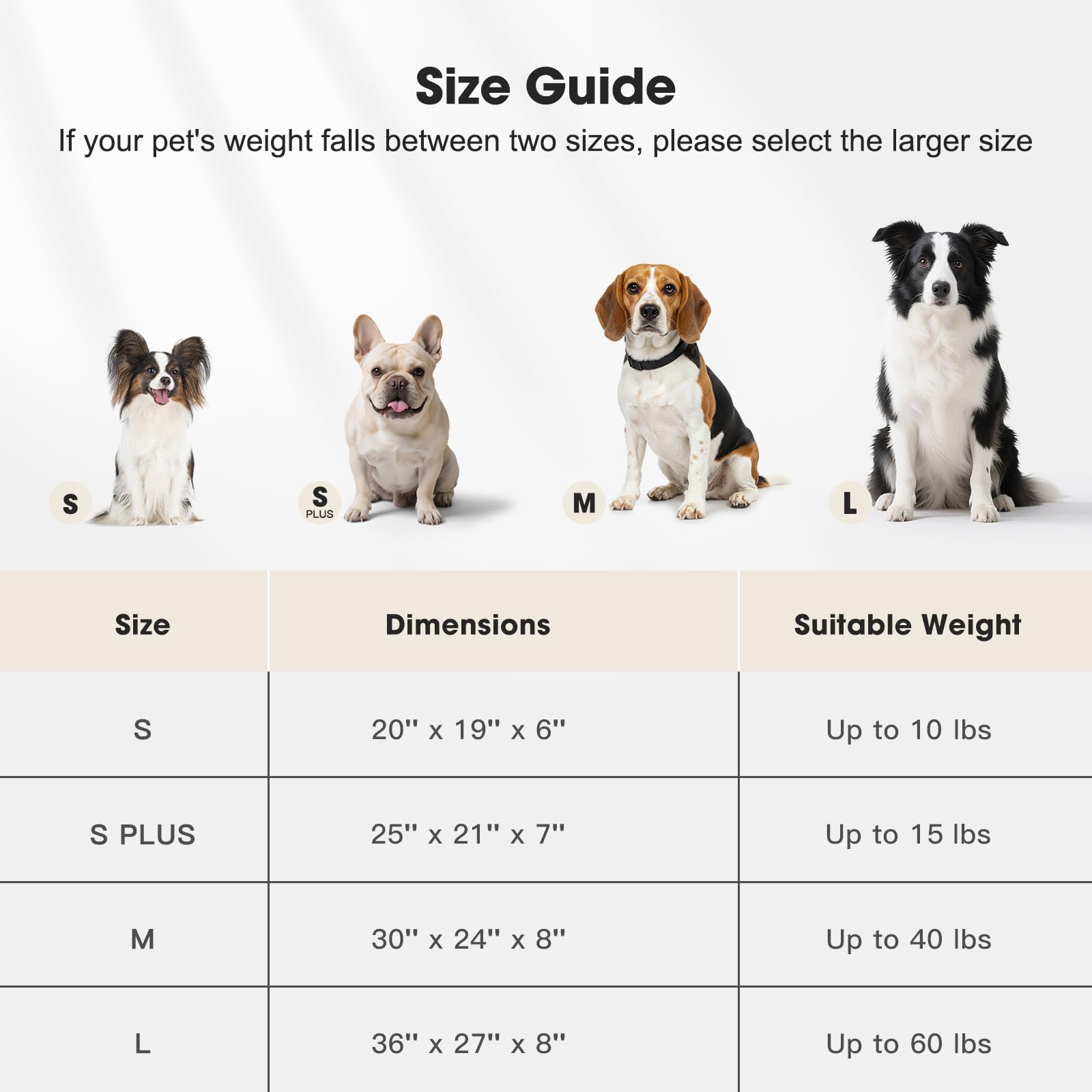 MIXJOY lit en usage avec chien détendu montrant confort