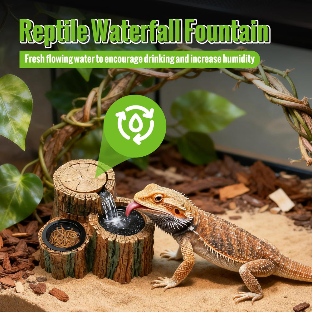 MIXJOY fontaine en usage avec dragon barbu encourage hydratation active