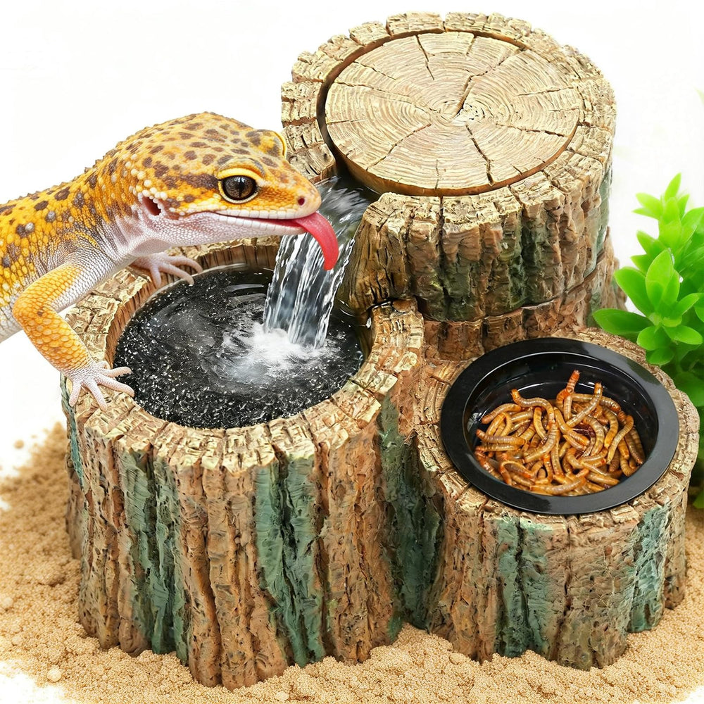 MIXJOY fontaine frontale montrant design naturel et accessibilité pour reptiles