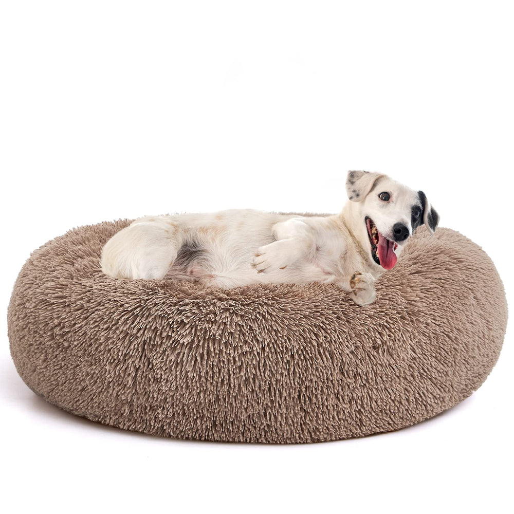 MIXJOY lit donut vue avant montrant confort et forme ronde