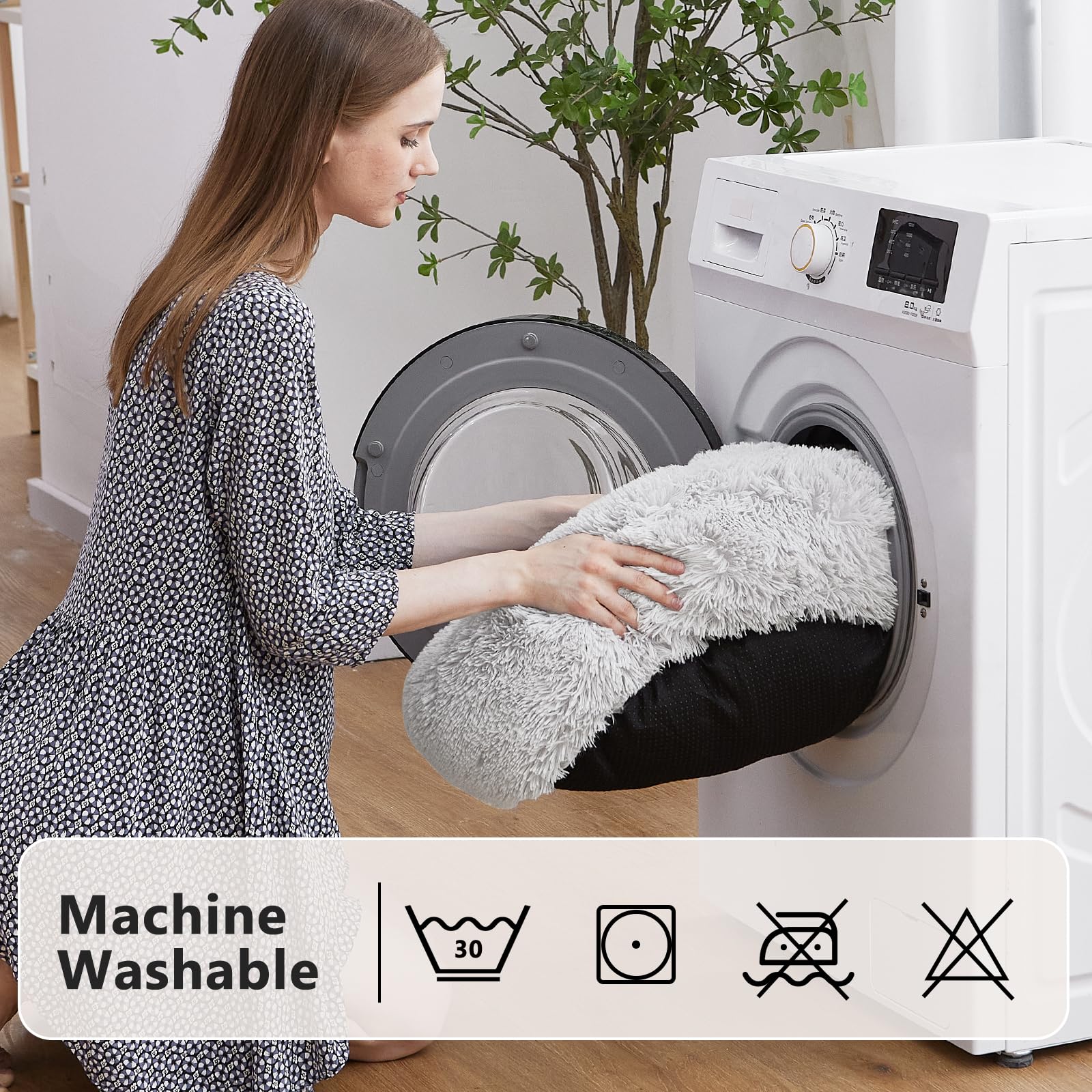 MIXJOY petit chien reposant confortablement pour sommeil profond